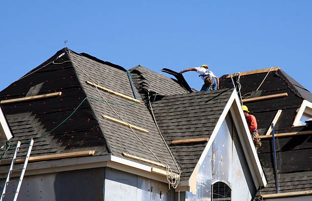 Best Affordable Roof Replacement  in Tecumseh, MI