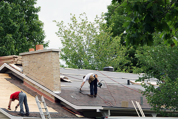Best Roof Waterproofing Services  in Tecumseh, MI