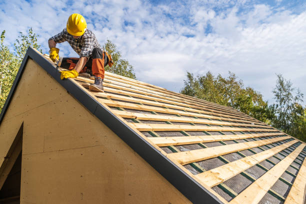 Best Local Roofing Companies  in Tecumseh, MI