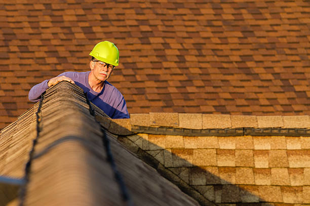 Best Metal Roofing Contractor  in Tecumseh, MI