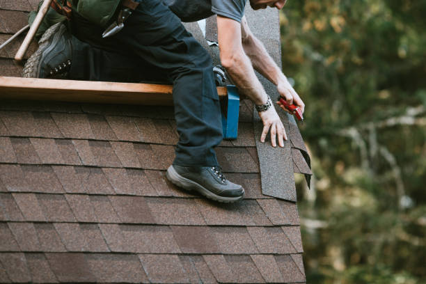 Best Shingle Roofing Installation  in Tecumseh, MI